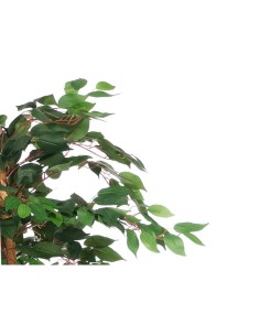 Planta Artificial Ficus Pequeña 2