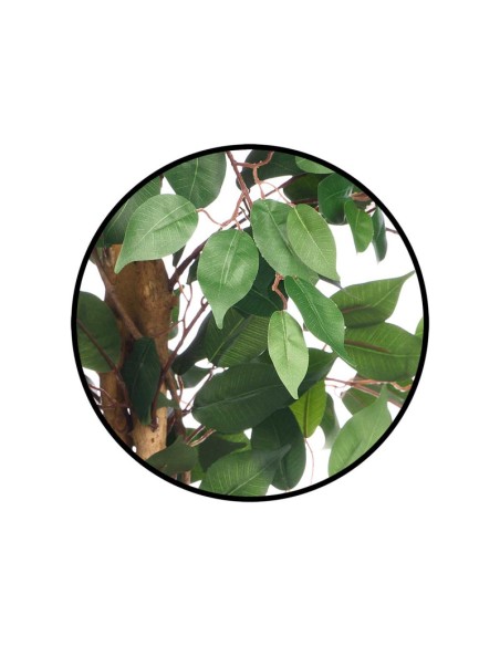 Planta Artificial Ficus Mediana