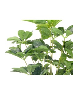 Planta Artificial Alocasia Hojas Ovaladas 2