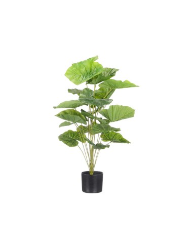 Planta Artificial Cheflera Hojas Anchas