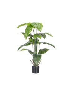 Planta Artificial Strelizia Hojas Puntas Anchas