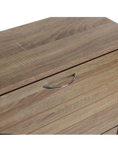 Zapatero de 2 Cajones Ness