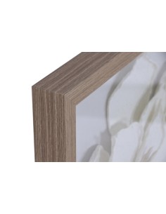 Cuadro en Lienzo con Diseño Flores 2