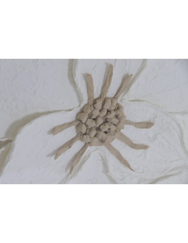 Cuadro en Lienzo con Diseño Flores