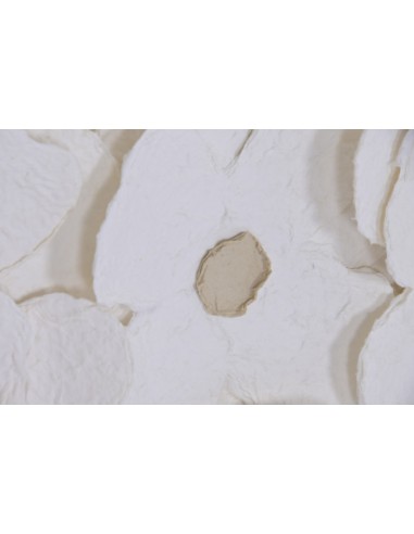 Cuadro en Lienzo con Diseño Margaritas