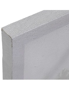 Cuadro en Lienzo con Diseño Natural 2