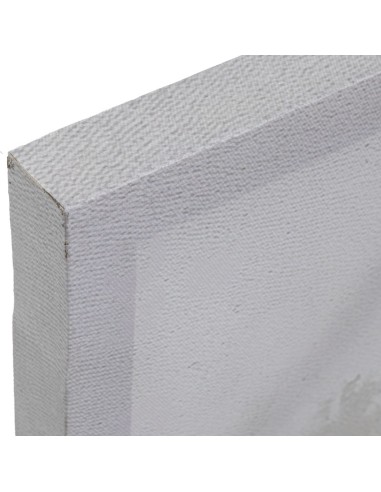 Cuadro en Lienzo con Diseño Natural