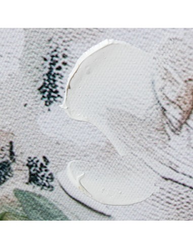 Cuadro en Lienzo con Diseño Natural