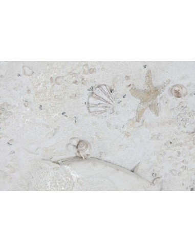 Cuadro en Lienzo con Diseño 3D