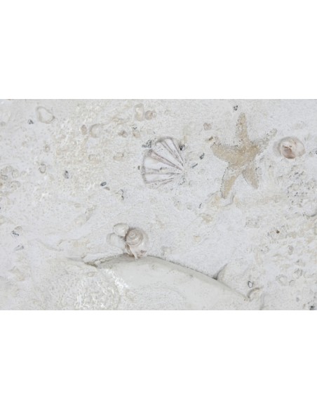 Cuadro en Lienzo con Diseño 3D