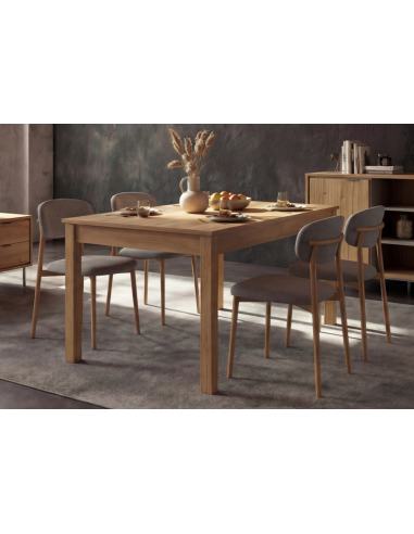 Mesa Extensible Sforza