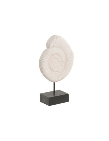 Decoración de Cemento con forma de Caracola