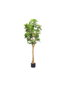 Planta Artificial con Hojas Alargadas 170 cm