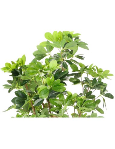 Planta Artificial con Hojas Alargadas 170 cm