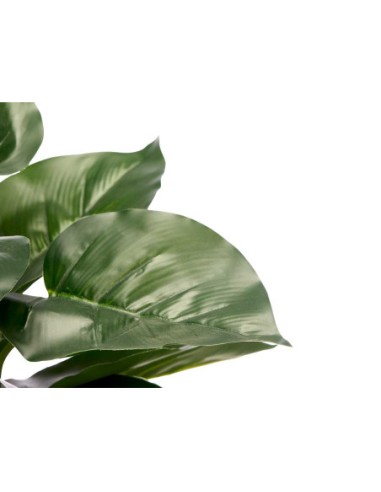 Planta Artificial con Hojas de Punta