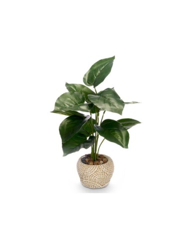 Planta Artificial con Hojas de Punta