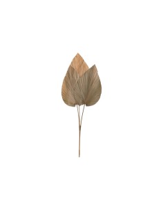 Decoración de Hoja de Palmera