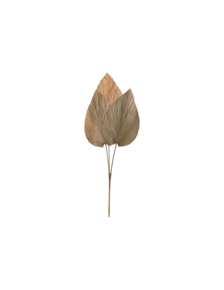 Decoración de Hoja de Palmera