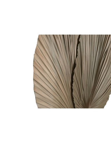 Decoración de Hoja de Palmera