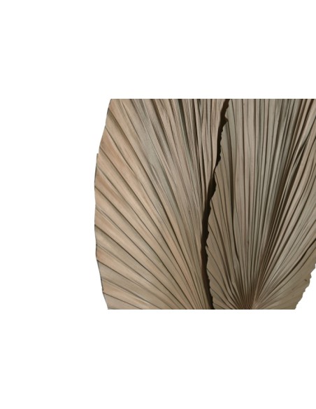 Decoración de Hoja de Palmera