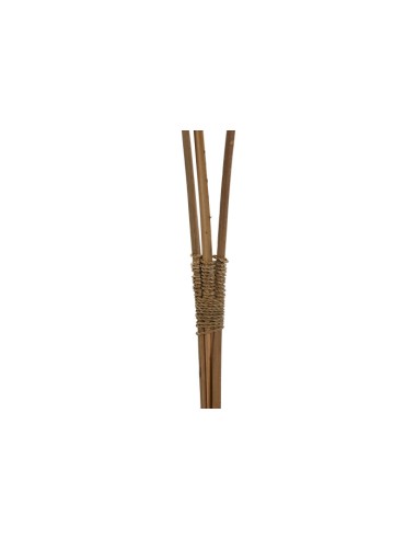 Decoración de Hoja de Palmera