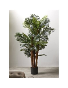 Planta Artificial Kentia 156 Cm