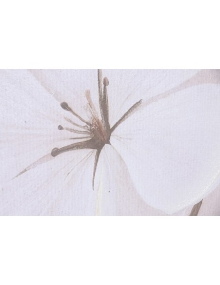 Cuadro lienzo flores con marco