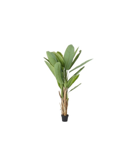Planta artificial platanera
