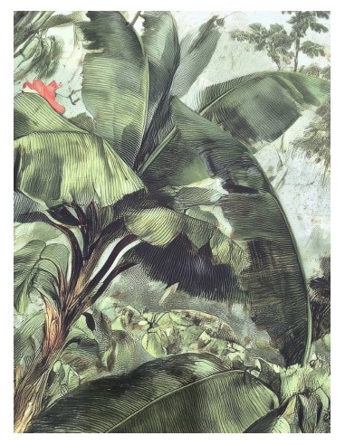 Cuadro con Diseño de Palmeras Tropicales