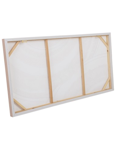 Cuadro en Lienzo en Relieve con Marco