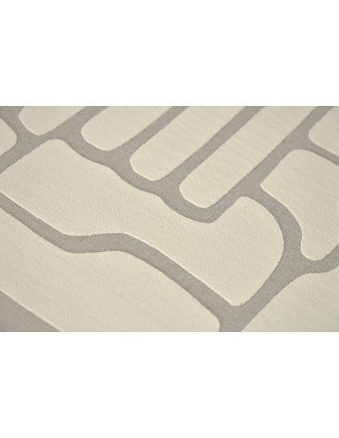 Cuadro Lino con Diseño Espuma